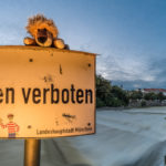 Leopold auf einem "Baden verboten" Schild an der Isar in München