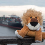 Leopold auf dem "Dockland" in Hamburg mit Blick auf die Elbe