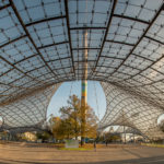 Herbstlich gefärbter Baum unter dem Zeltdach im Olympiapark München