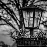 Lampe mit verblühter Dekoration im Hofgarten München