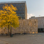herbstlich gefärbter Baum vor der Ohel - Jakob - Synagoge in München