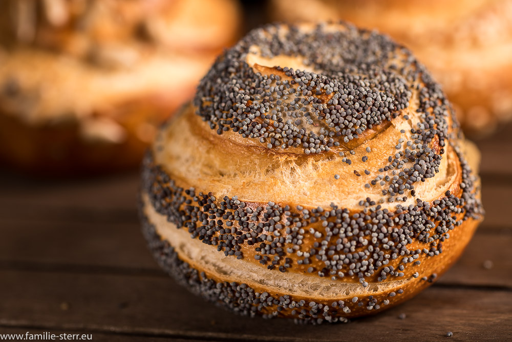 Laugensemmel-2 | Familie Sterr