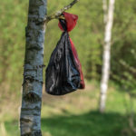 zwei Tüten mit Hundehäufchen, aufgehängt an einem Ast im Mallersdorfer Holt mit Heiden