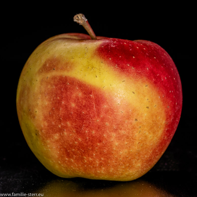 gelb-roter Apfel der Sorte Kenzi