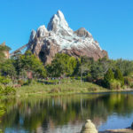 Expedition Everest 2010