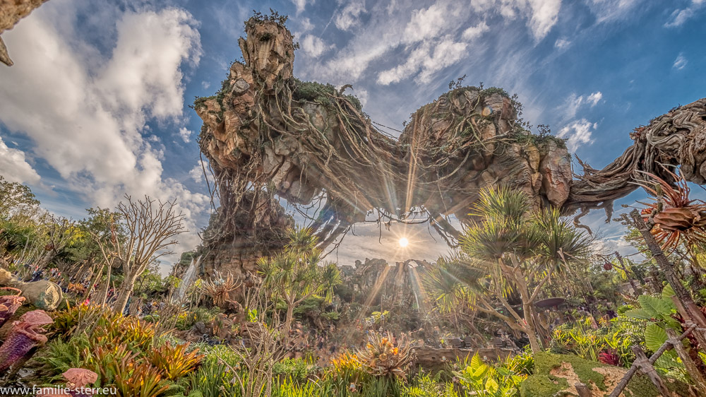 strahlende Sonne unter Pandora - World of Avatar im Animal Kingdom / Disney World / Florida