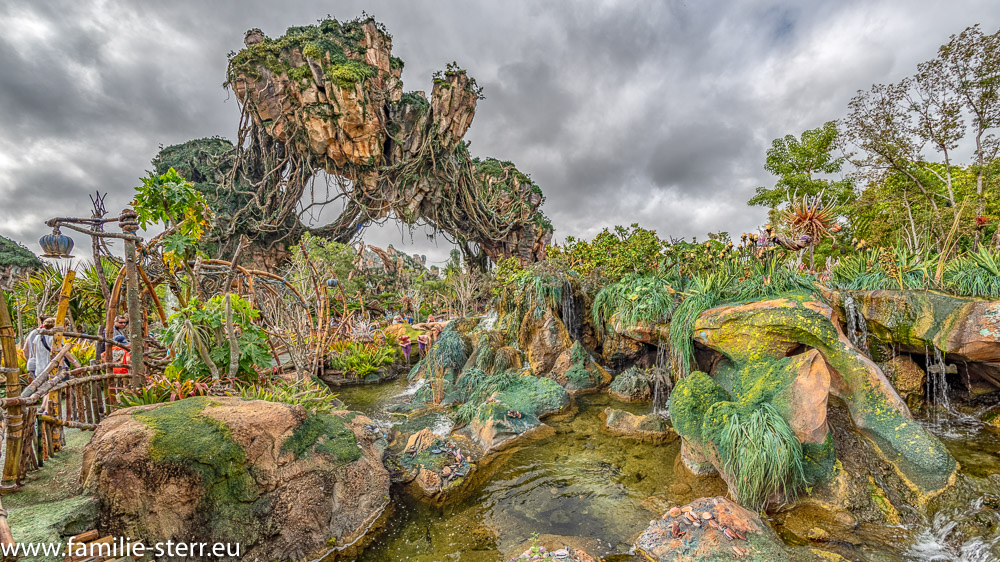 Pandora - The World of Avatar im Animal Kingdom / Flight of Passage