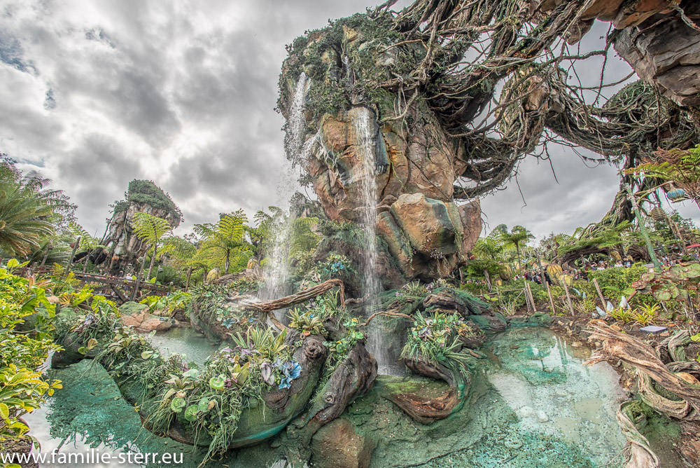 Pandora - The World of Avatar im Animal Kingdom / Flight of Passage