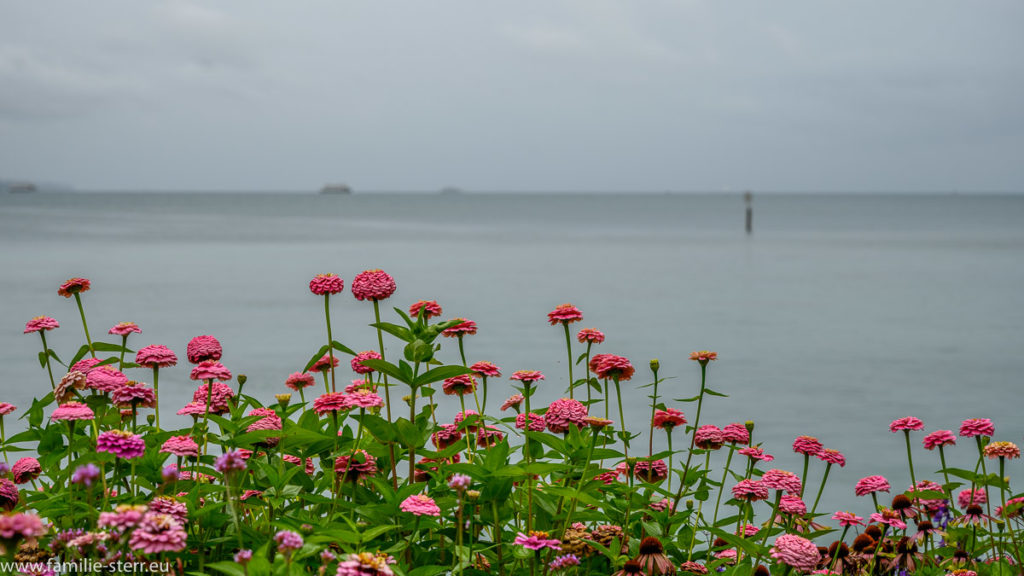 Wolken und Regen am Bodensee / Insel Mainau