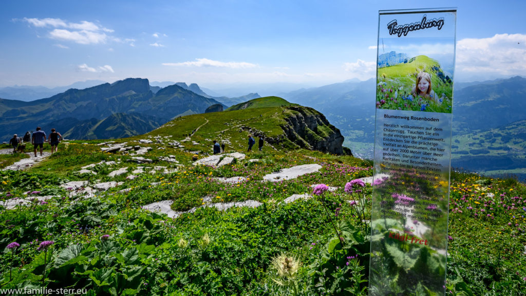 Hinweisschild am Wanderweg durch den Rosenboden auf dem Chäserrugg