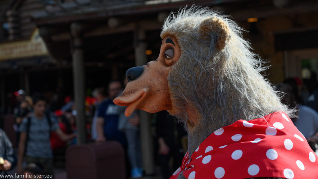 Country Bear