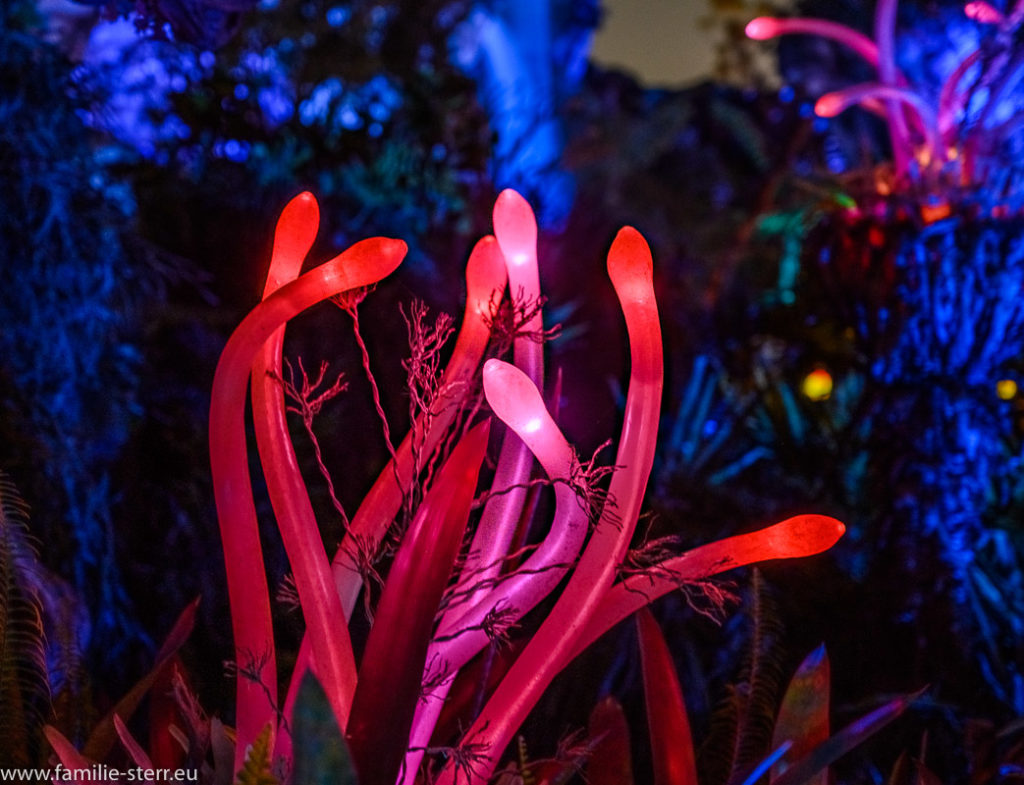 Leuchtende Pflanzen im Pandora - Land / Animal Kingdom / Disney World / Florida