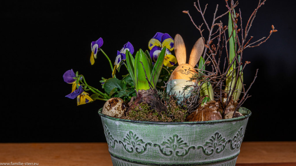 Ostergesteck mit Stiefmütterchen und einem Holz - Osterhasen