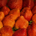 eine ganze Menge Erdbeeren nebeneinander in der Kiste liegend