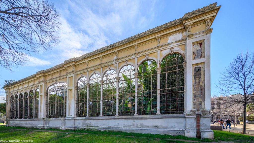 Hivernacle - Wintergarten im Parc Ciutadella in Barcelona