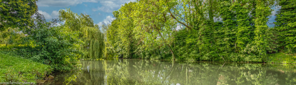 die Sempt in Altenerding in einem von Bäumen gesäumten Flussbett