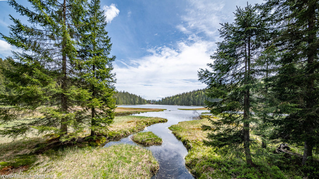 kleiner Fluß fließ in den großen Arbersee