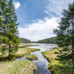 kleiner Fluß fließ in den großen Arbersee