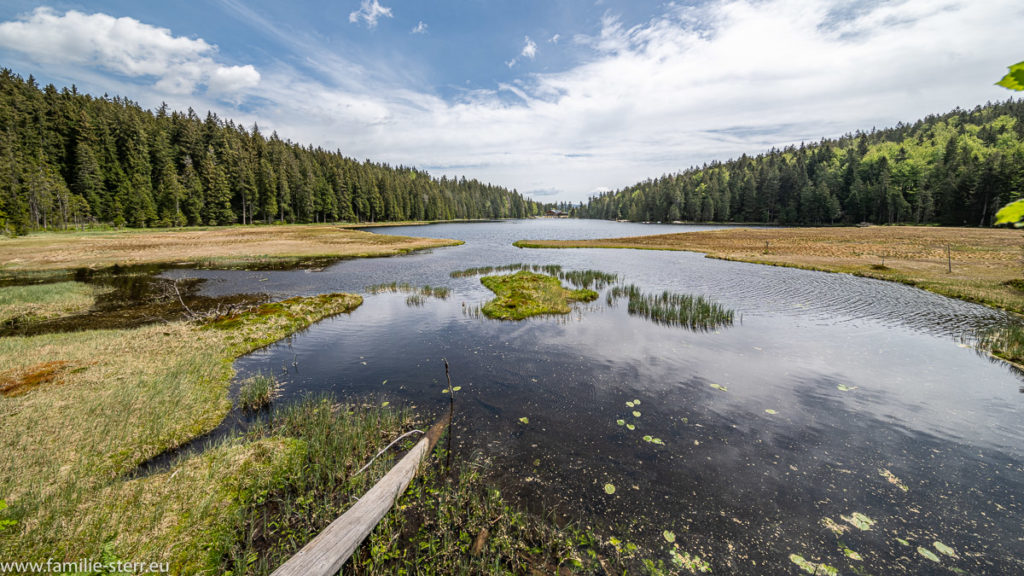 Blick über den großen Arbersee in Richtung auf das Restaurant Arbersee