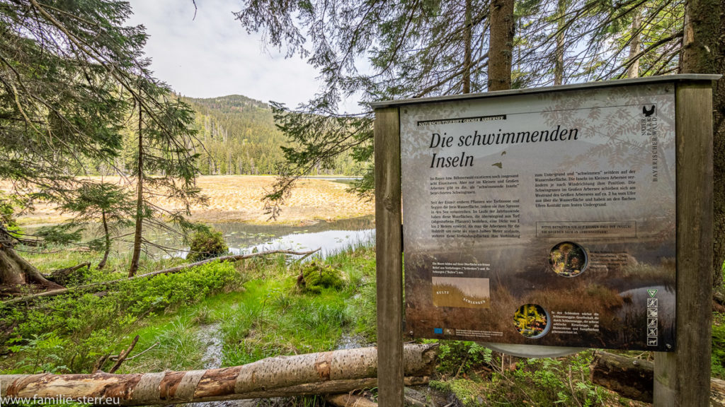 Hinweistafel mit Erläuterungen zu den schwimmenden Inseln im großen Arbersee