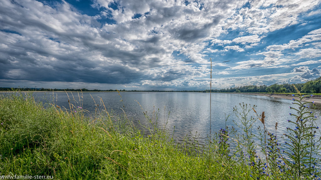 Ausgleichsbecken Moosburg / Vogelfreistätte Mittlere Isarstauseen