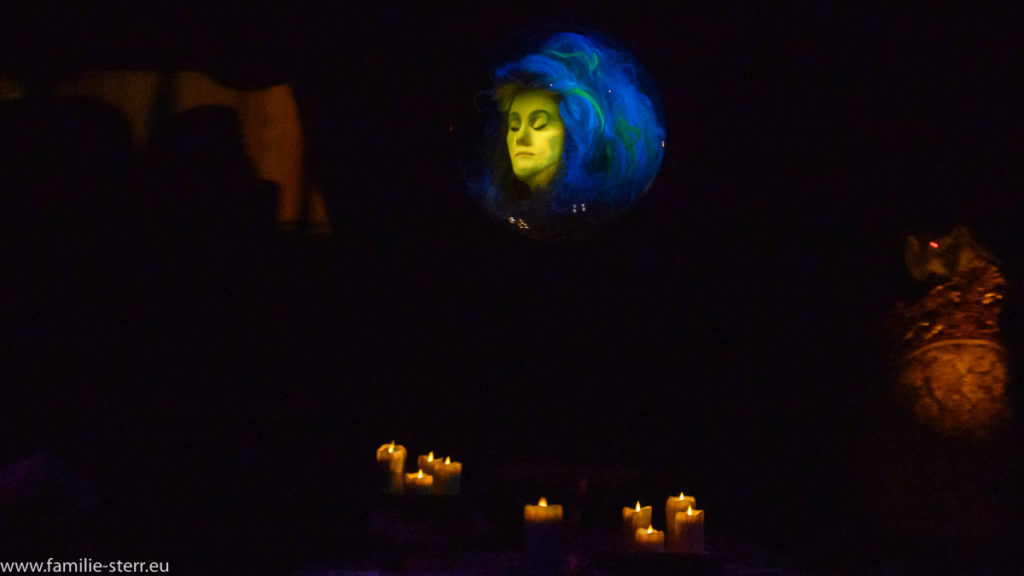 fröhlicher Geist in der Haunted Mansion, Disney World, Florida