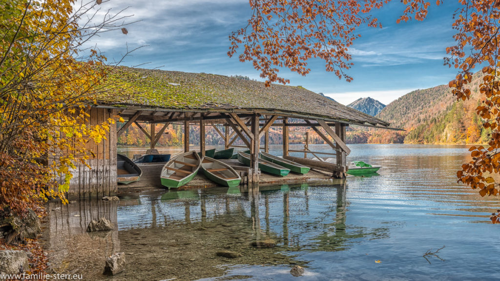 ein altes Bootshaus mit Ruderbooten am herbstlichen Alpsee