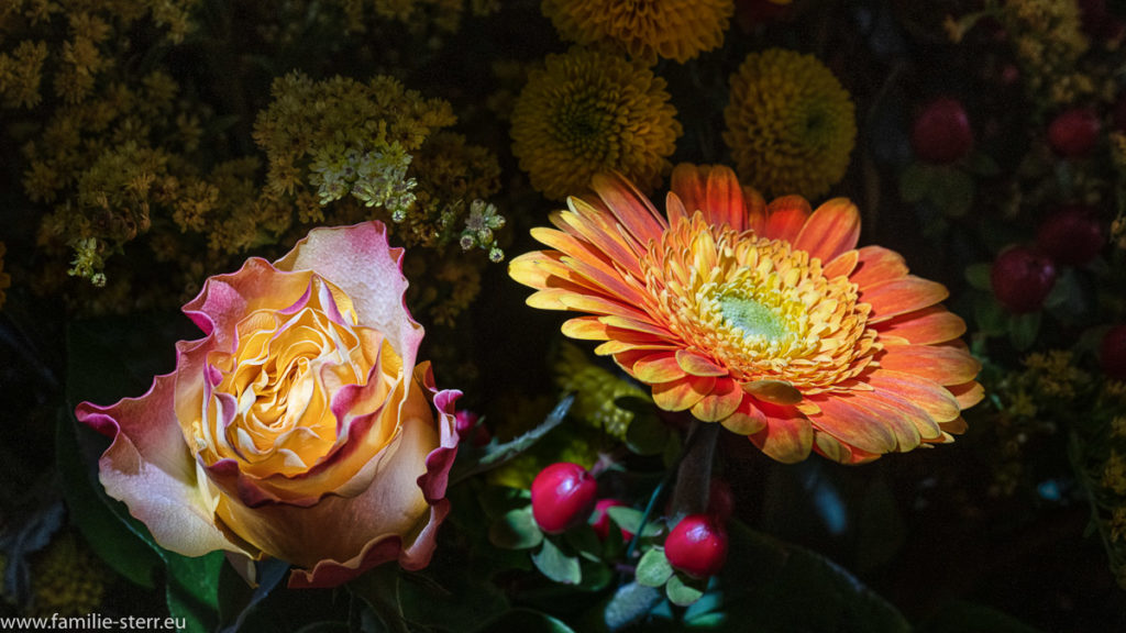 Rosen und Gerbera in einem farbenfrohen Blumenstrauss