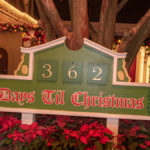 Schild "362 Days till Christmas" in einem Beet mit roten Weihnachtssternen