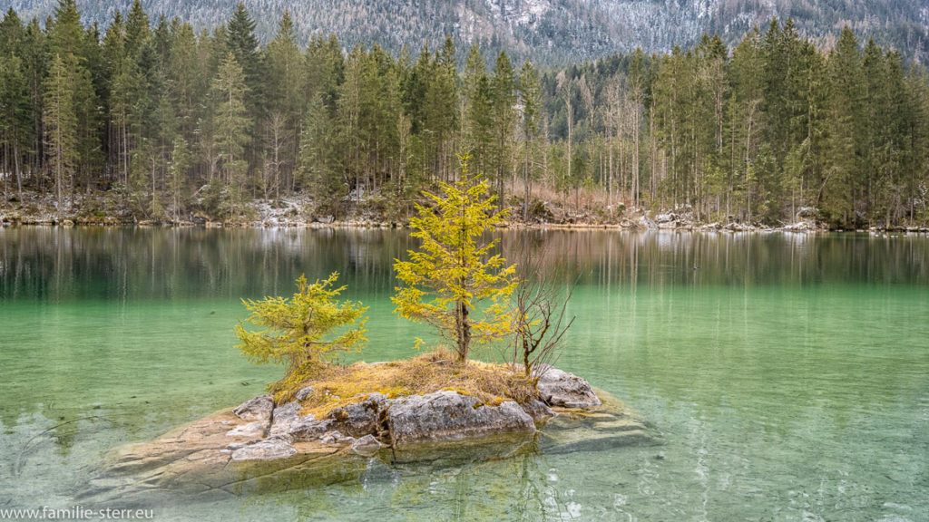 auf einem kleinen Felsen im Hintersee stehen ein paar kleine Bäume