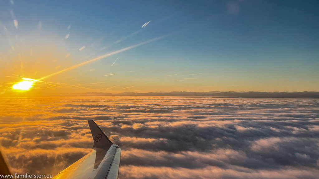 Sonnenaufgang über einer einer geschlossenen Wolkendecke mit den Alpen im Hintergrund, aufgenommen aus einem Flugzeug