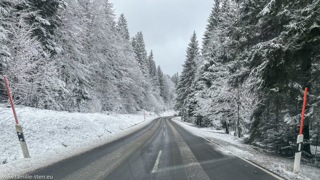 eine Straße durch schneebedeckten Wald zwischen Frauenau und Spiegelau