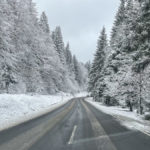 eine Straße durch schneebedeckten Wald zwischen Frauenau und Spiegelau