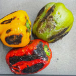 eine rote, eine gelbe und eine grüne Paprika, stark angerollt mit leicht verbrannter Haut