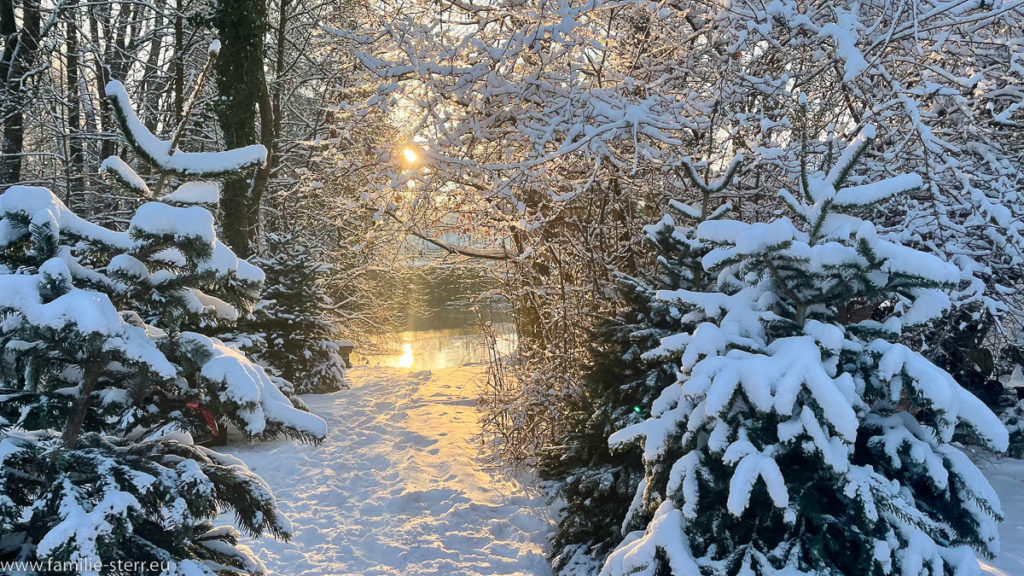 Schnee und Eis in Erding am Altwasser