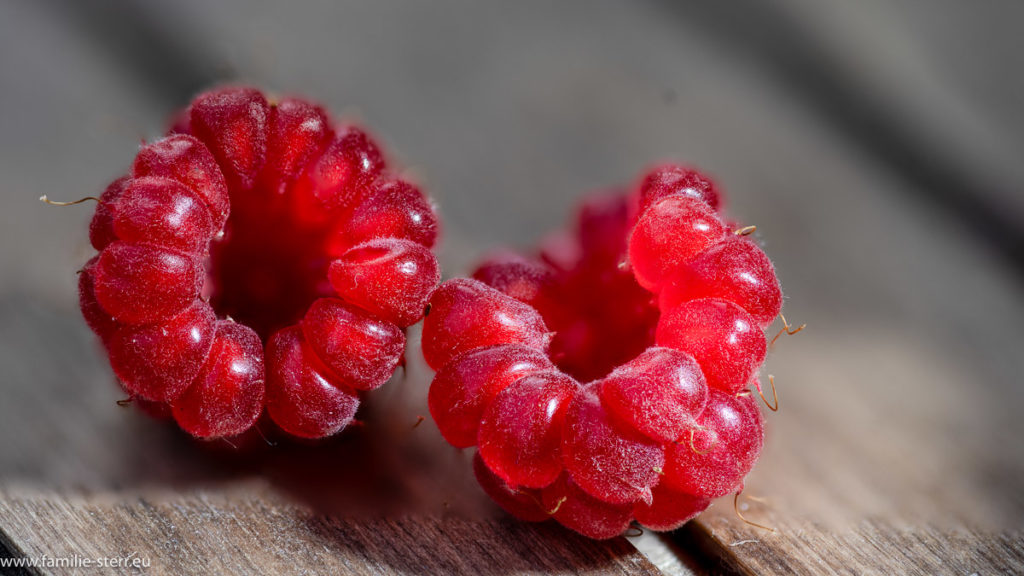 zwei tiefrote Himbeeren aus dem Garten