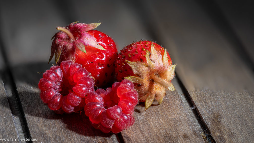 Himbeeren und Erdbeeren aus unserem Garten