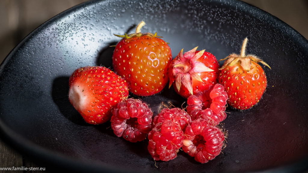 Himbeeren und Erdbeeren aus unserem Garten