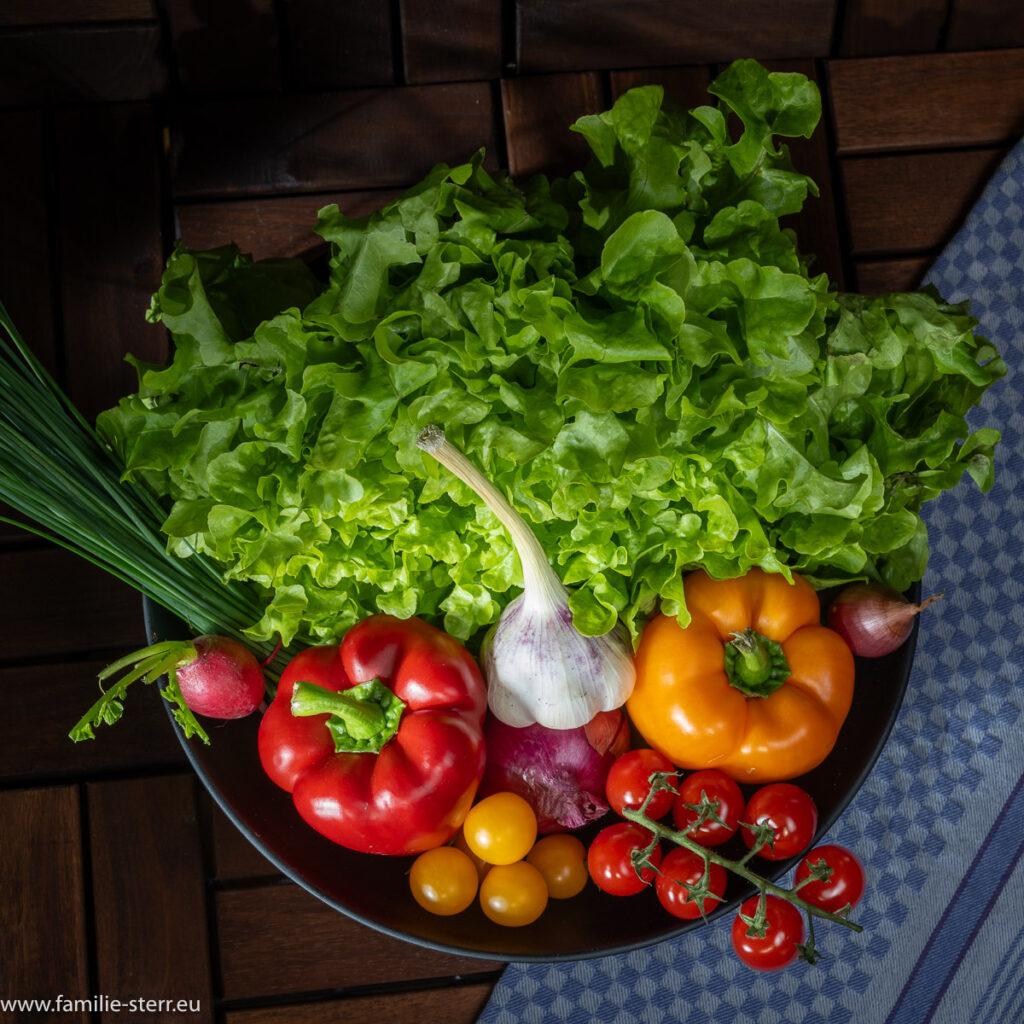 eine Schale mit regionalen und saisonalen Zutaten für einen bunten Salat