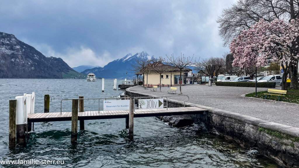 Steg am Vierwaldstättersee