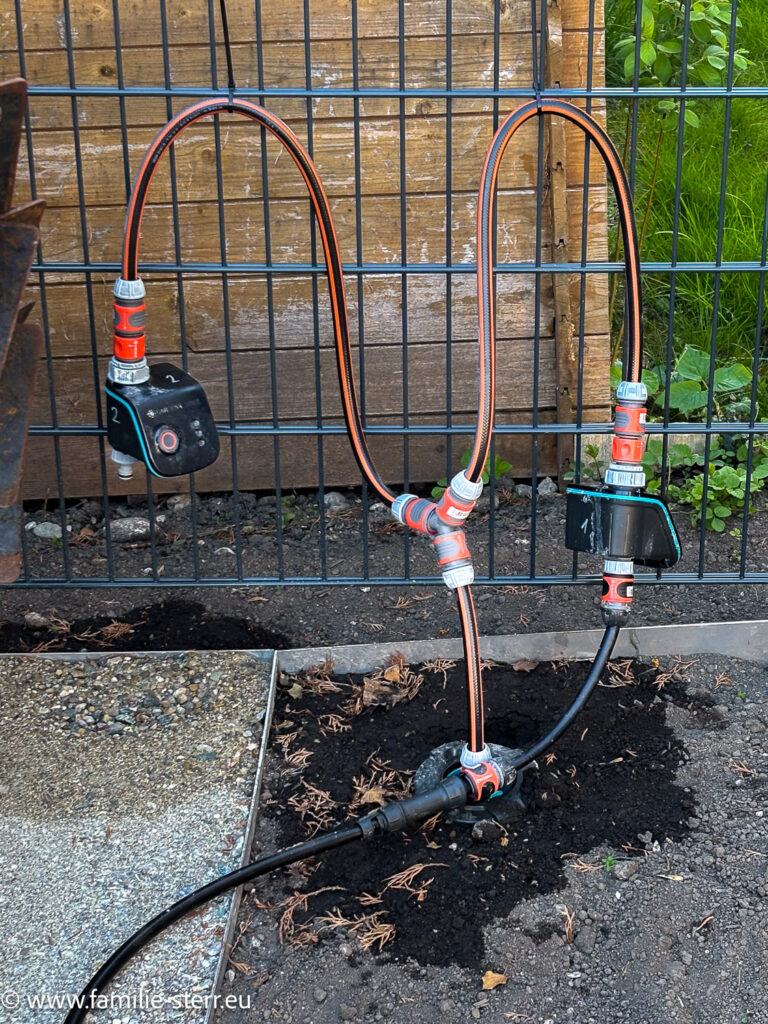 Testinstallation für die geplante Bewässerungsanlage in unserem kleinen Garten - Schläuche führen von der Wassersteckdose im Boden zu einem Verteiler und von dort zu zwei Gardena - Schaltventilen